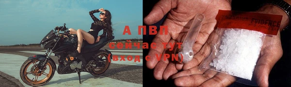 твердый Покачи