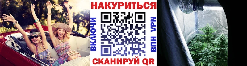 МАРИХУАНА сатива  как найти закладки  Мглин 